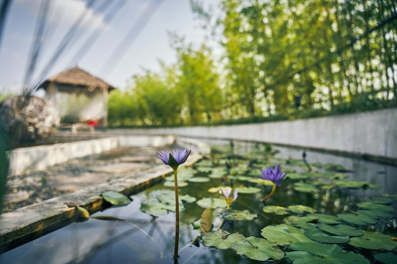 Отель Manli Pudong Airport - Pet Friendly